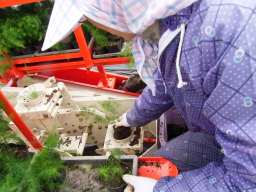 アスパラ栽培に強力なツールが誕生！ | AGRI